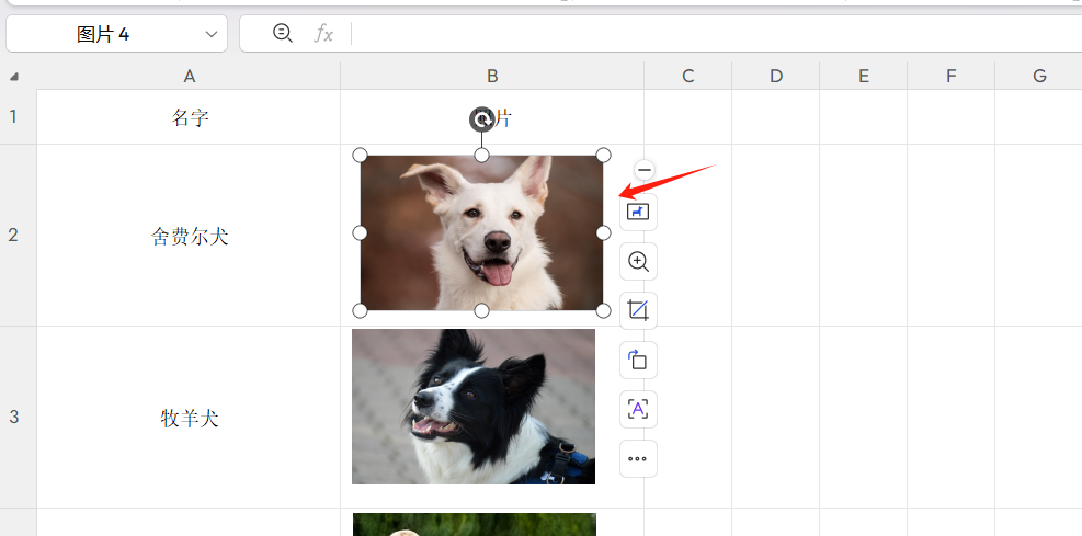 Excel排序时图片不跟随移动的解决办法-趣帮office教程网