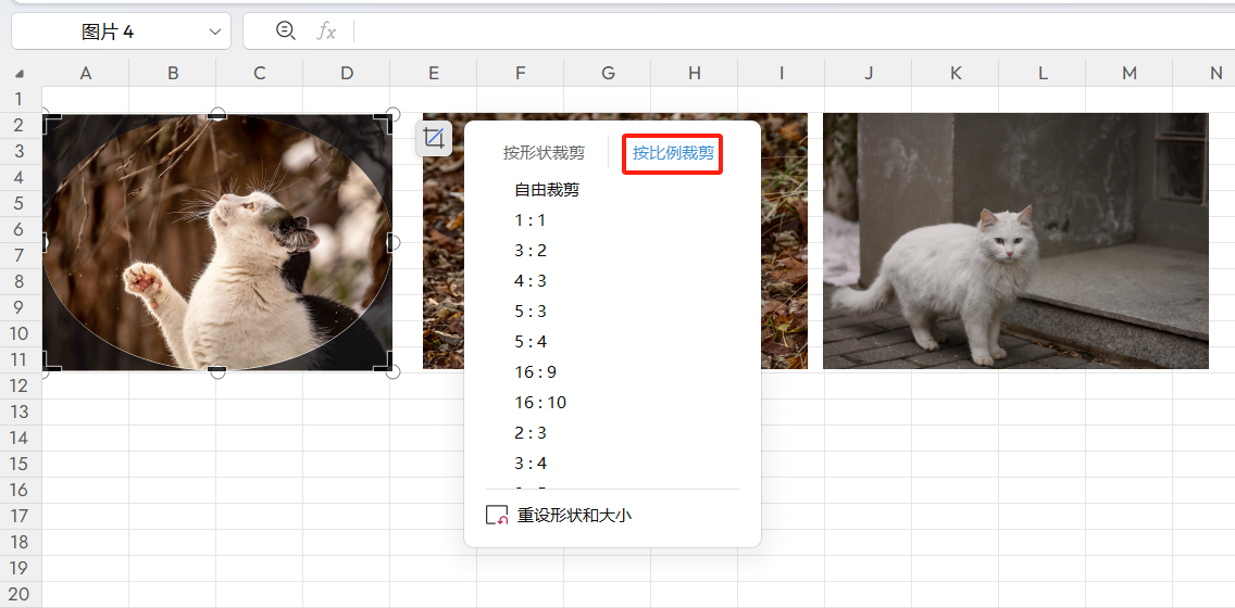 WPS表格技巧：导入的图片如何裁剪成圆形-趣帮office教程网